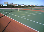 Extra Tex Sports System